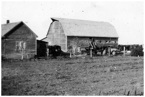 Derksen Blumenhof Farm