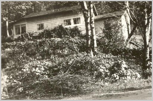 Walter and Cora Haley's Mountain Cabin