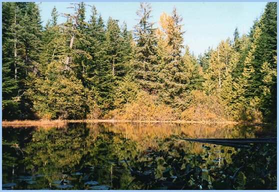 Pristine Alpine Lake