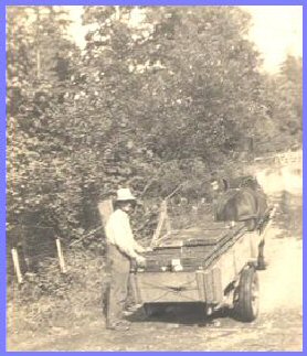 Grandfather Peter Wiensz Shipping Berries
