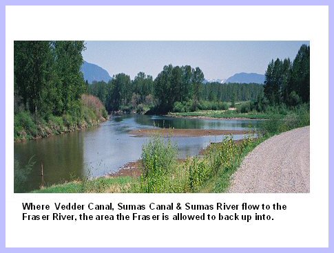 Vedder Canal - Slide 26