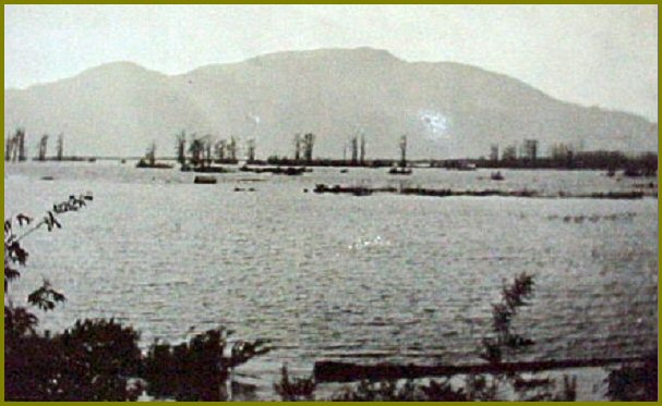 Sumas Lake Looking North toward Sumas Mountain - 1910